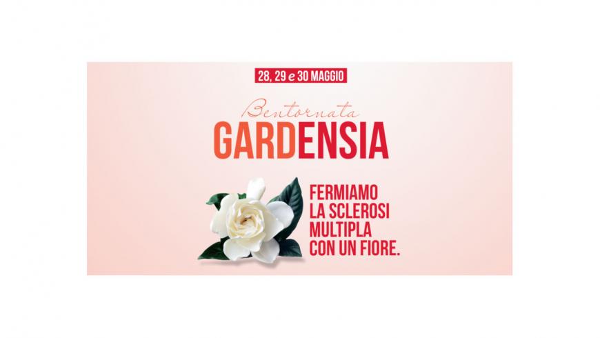 Gardensia