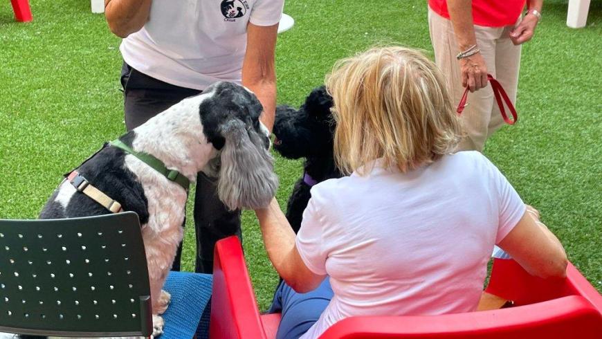 PET-Therapy al San Luigi Gonzaga di Orbassano